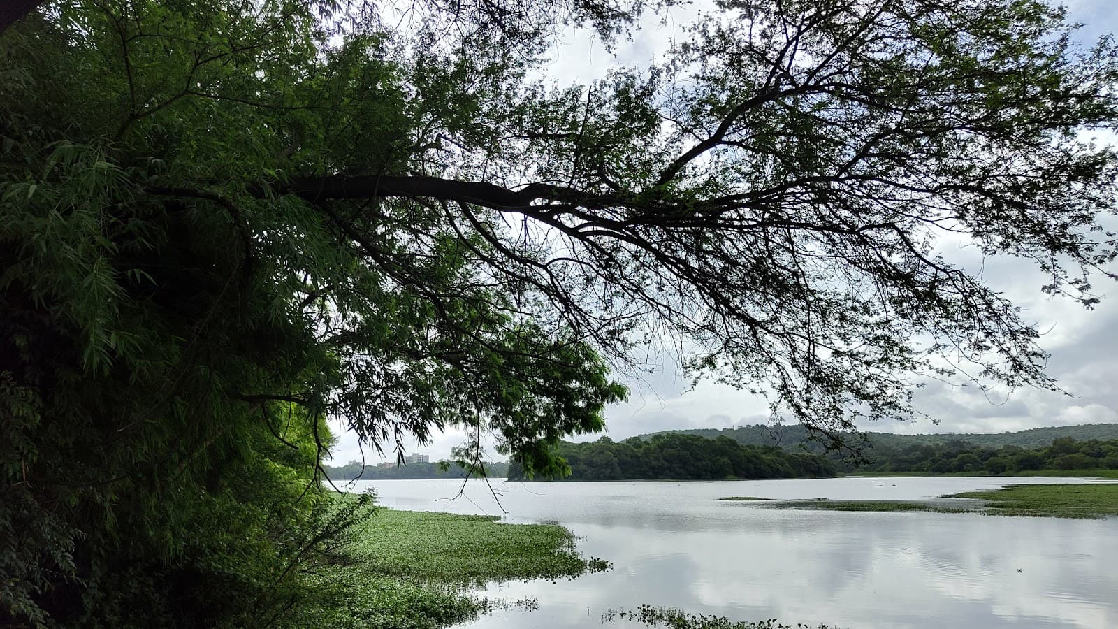Pashan Lake view 3