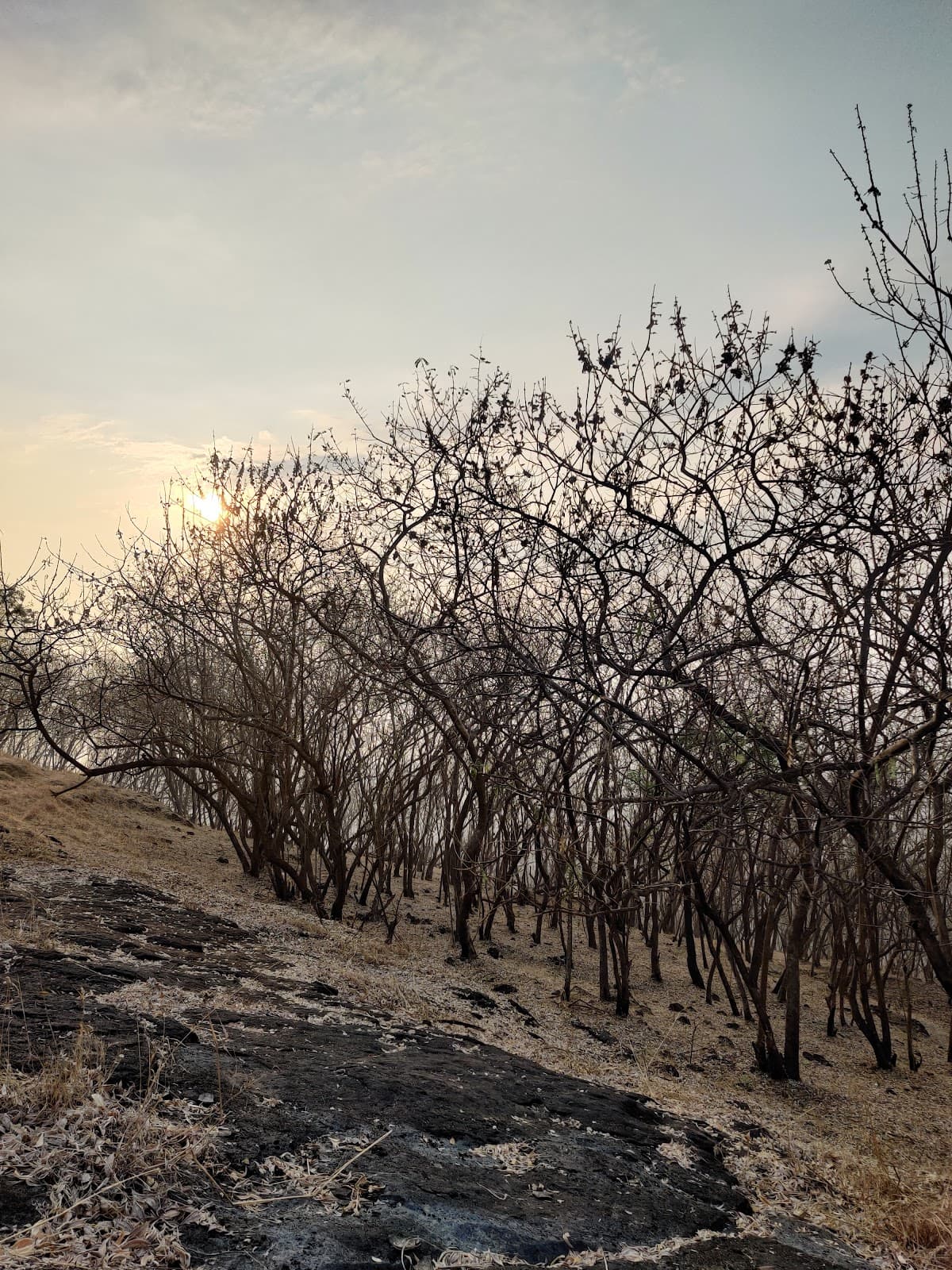 Vetal Tekdi view 3