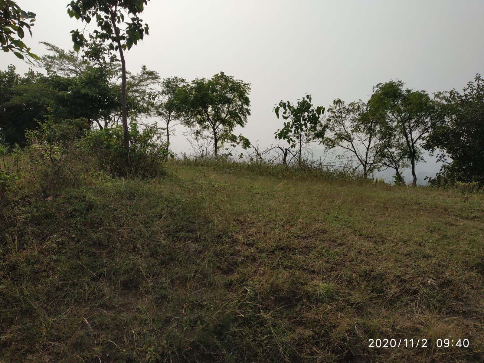 Baner-Pashan Biodiversity Park view 6