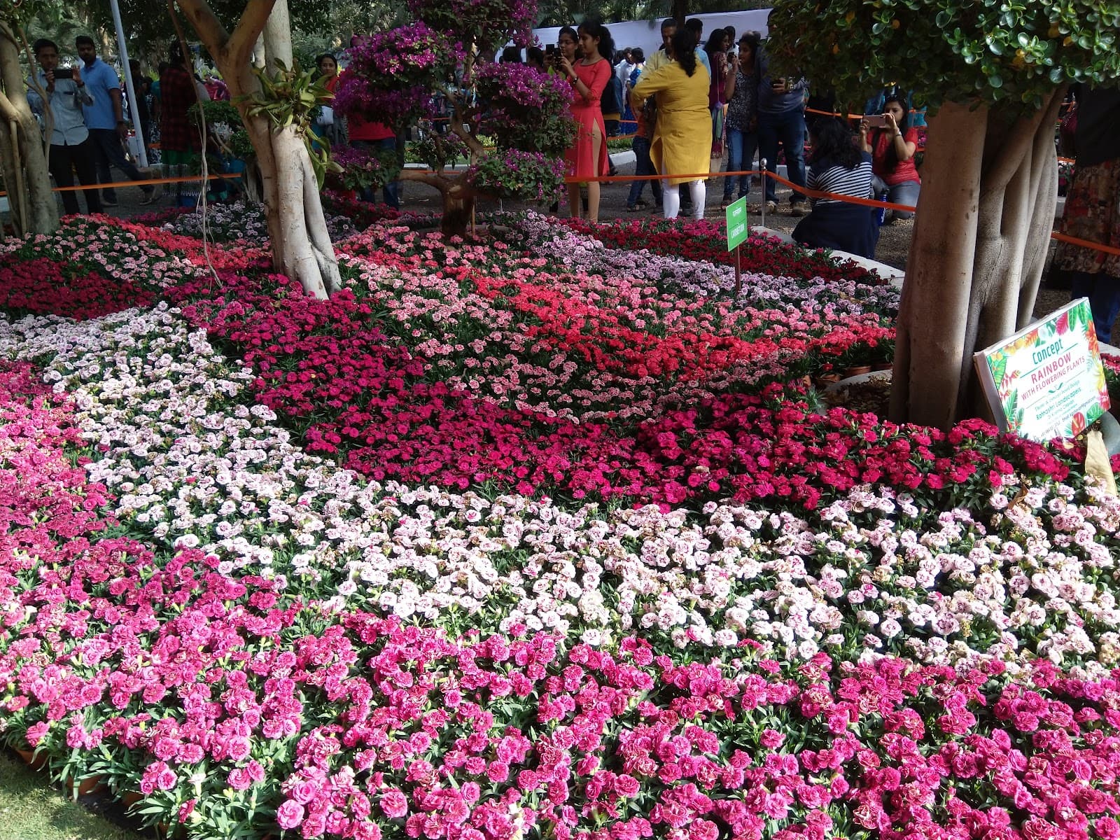 Empress Botanical Garden view 2