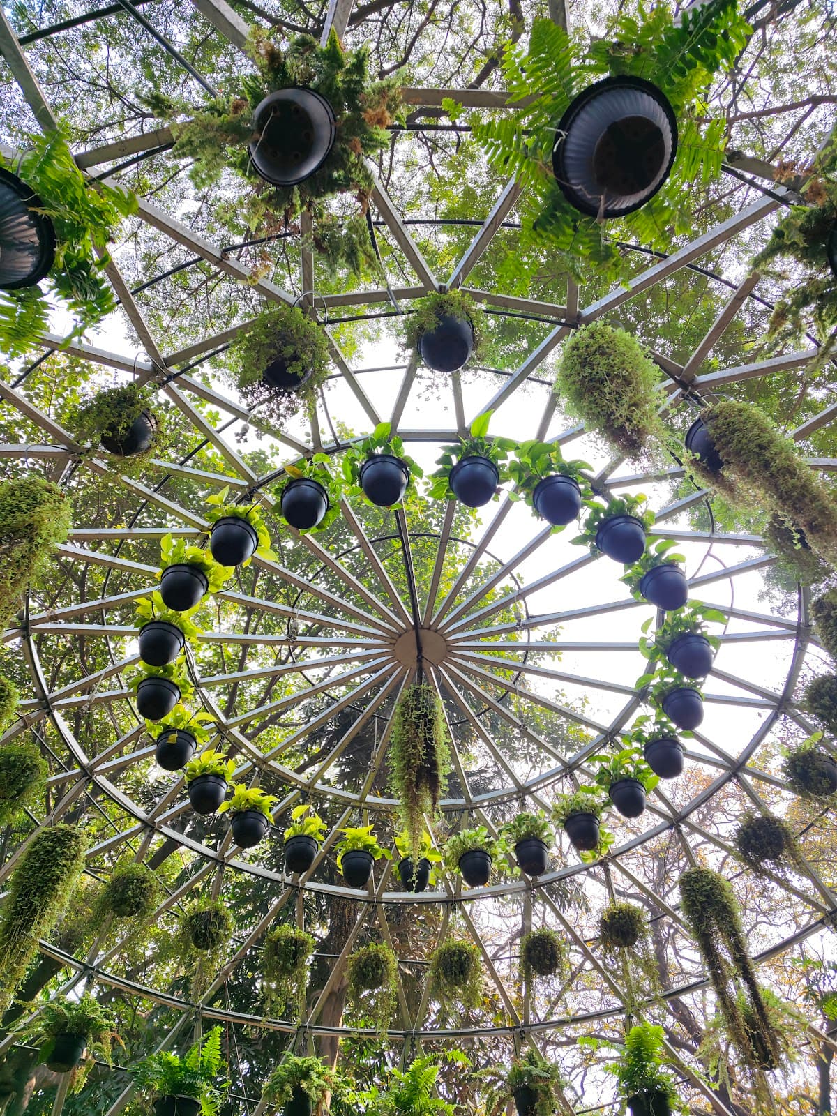Empress Botanical Garden view 4