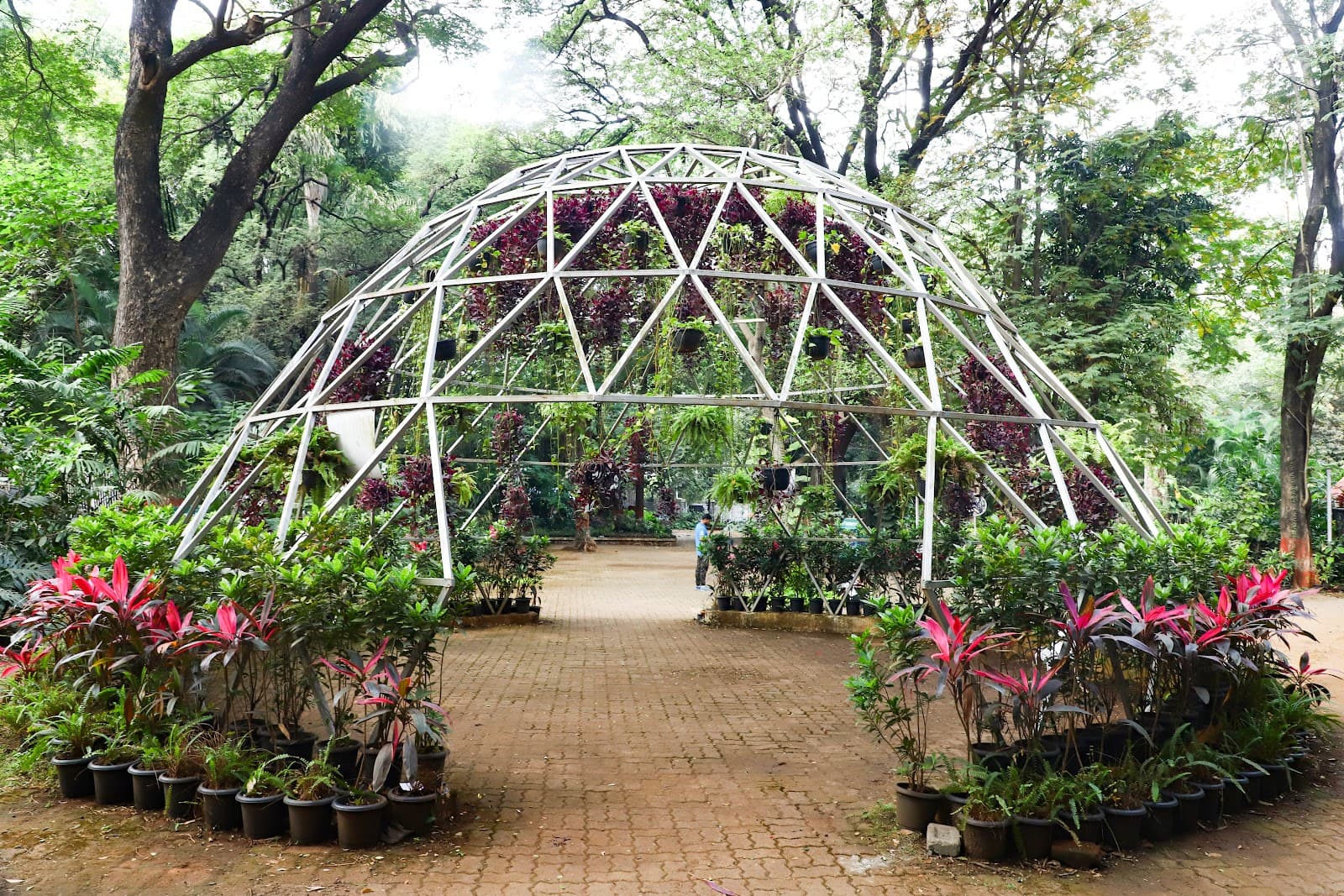 Empress Botanical Garden view 5