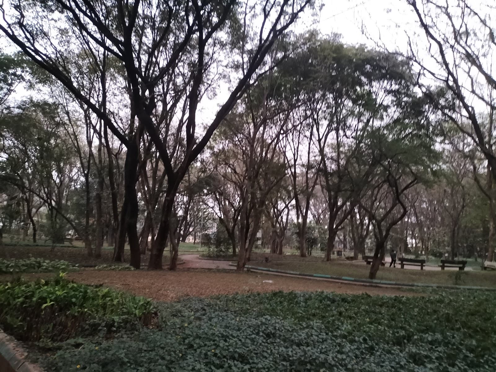 Mahatma Gandhi Udyan view 6