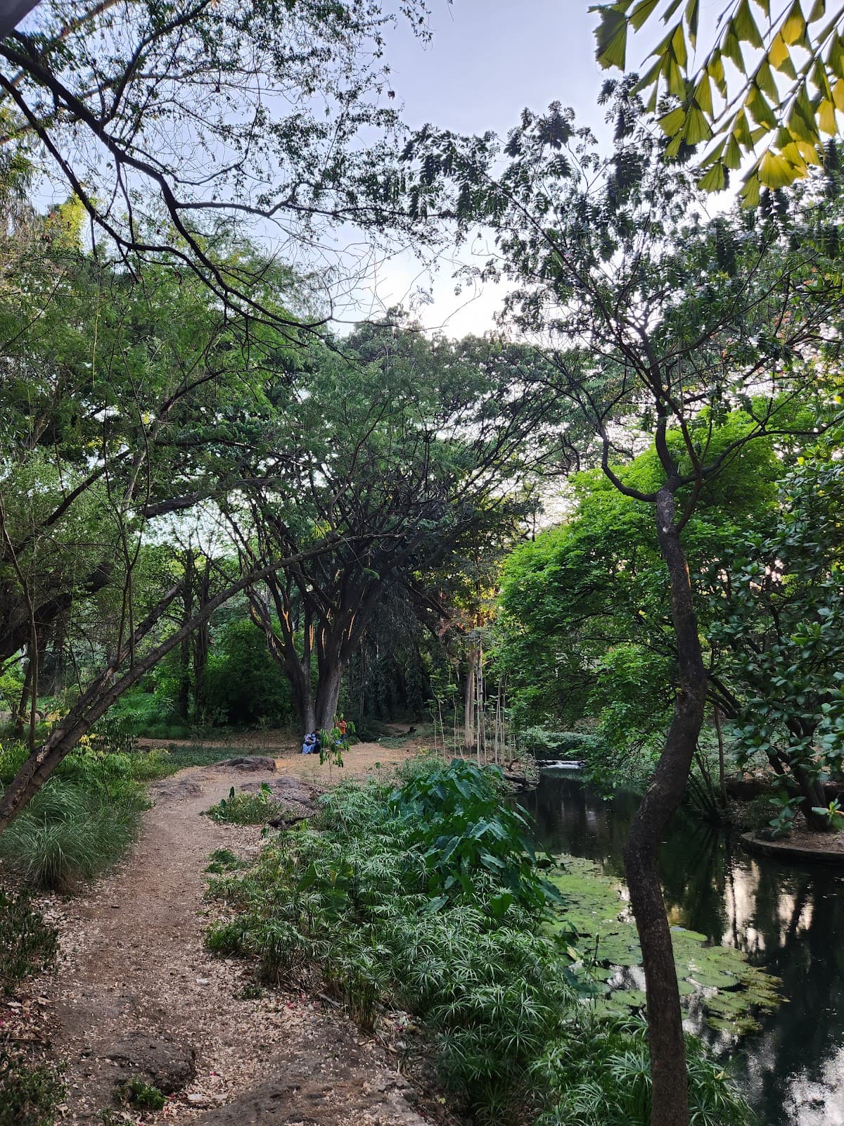 Osho Teerth Park view 6