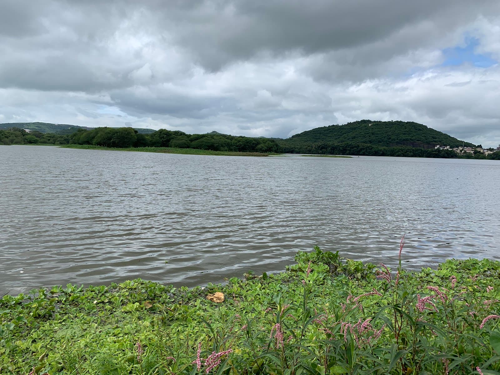 Pashan Lake view 6