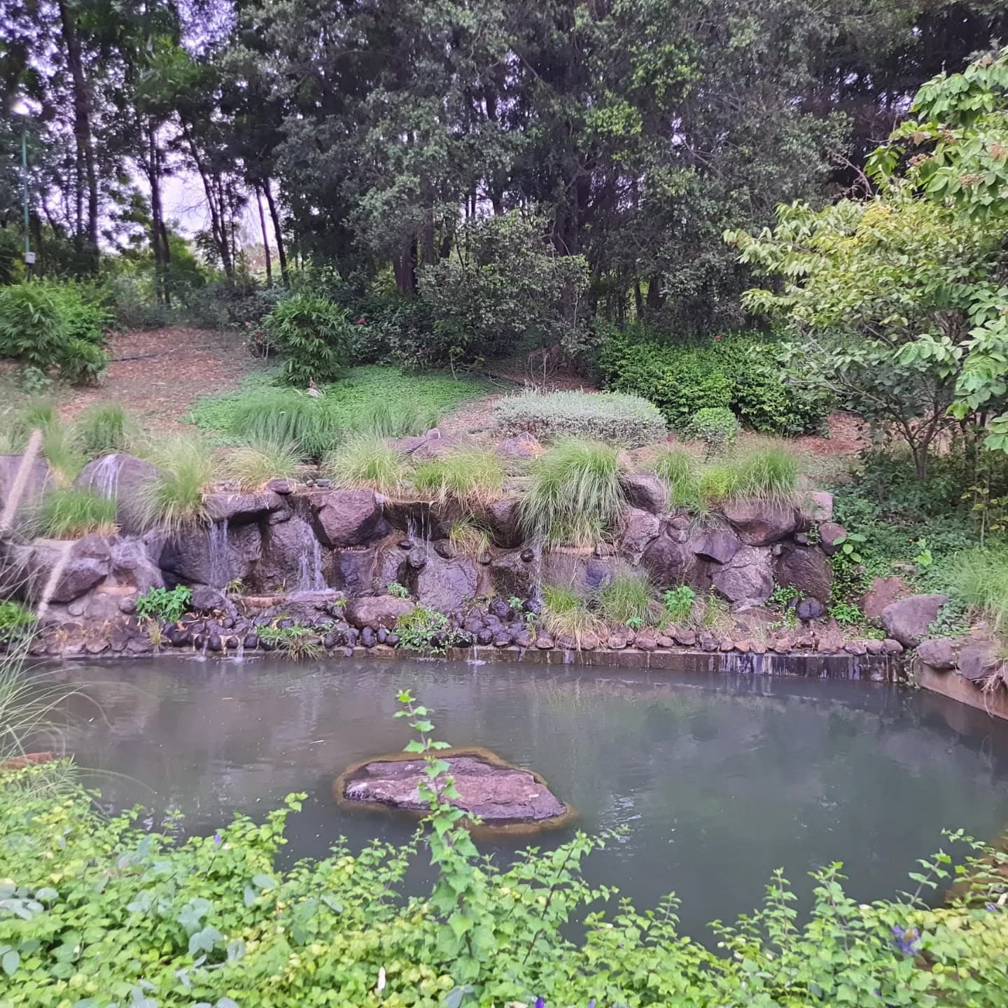 Pune-Okayama Friendship Garden view 2