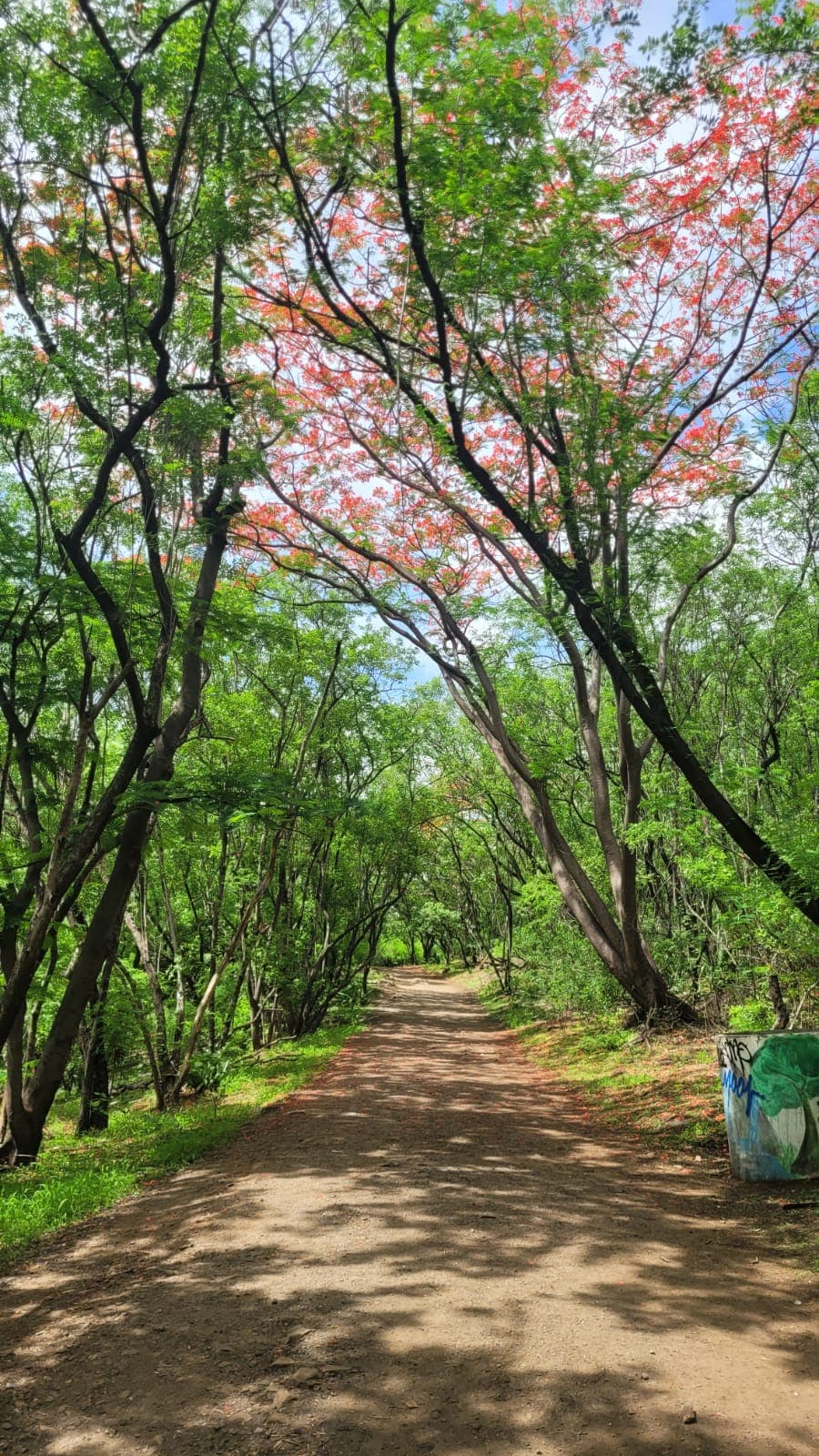 Vetal Tekdi in Pune