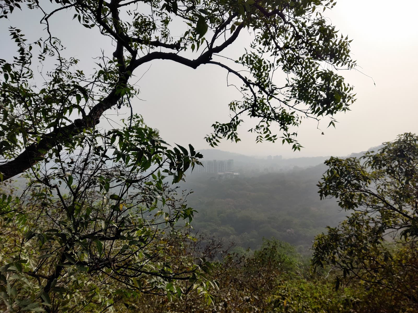 Vetal Tekdi view 4