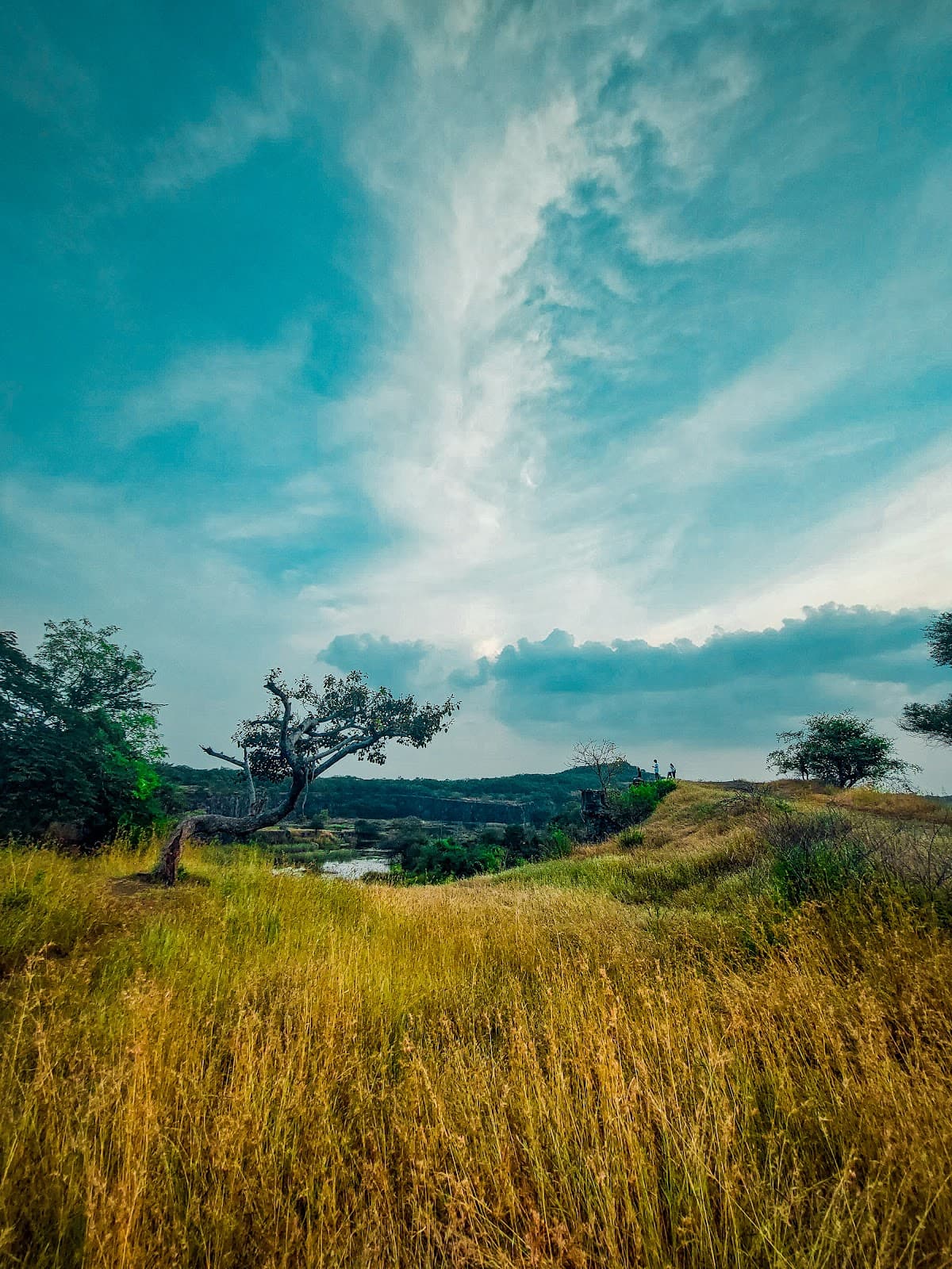 Vetal Tekdi view 5